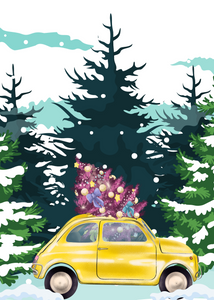 Secret Xmas Wish